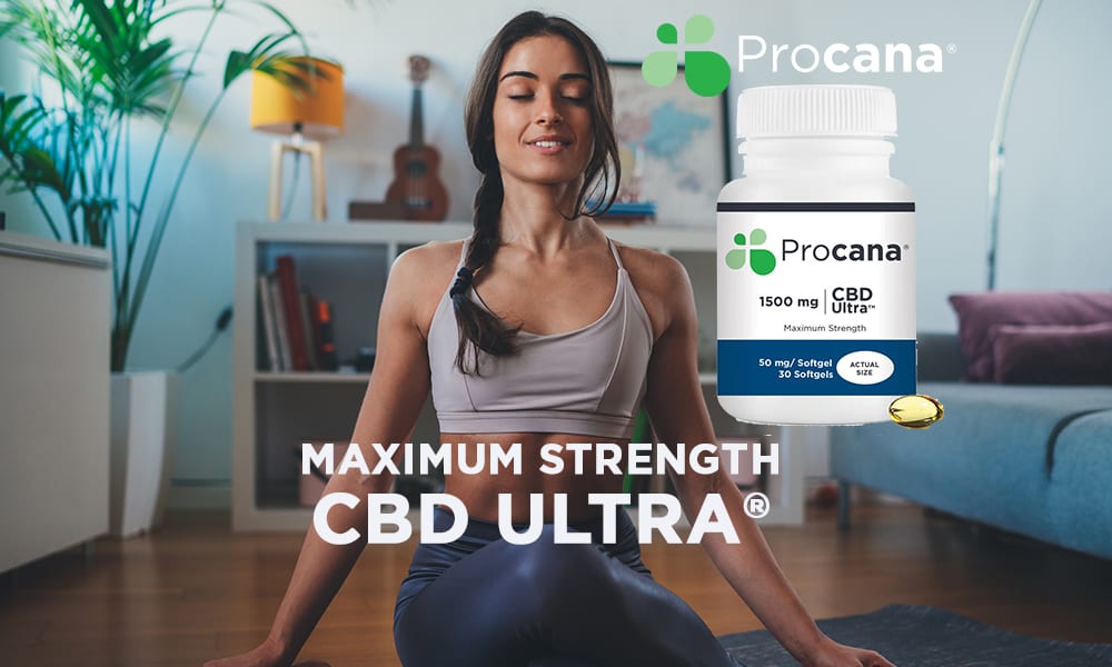 Maximum Strength CBD Ultra - Procana