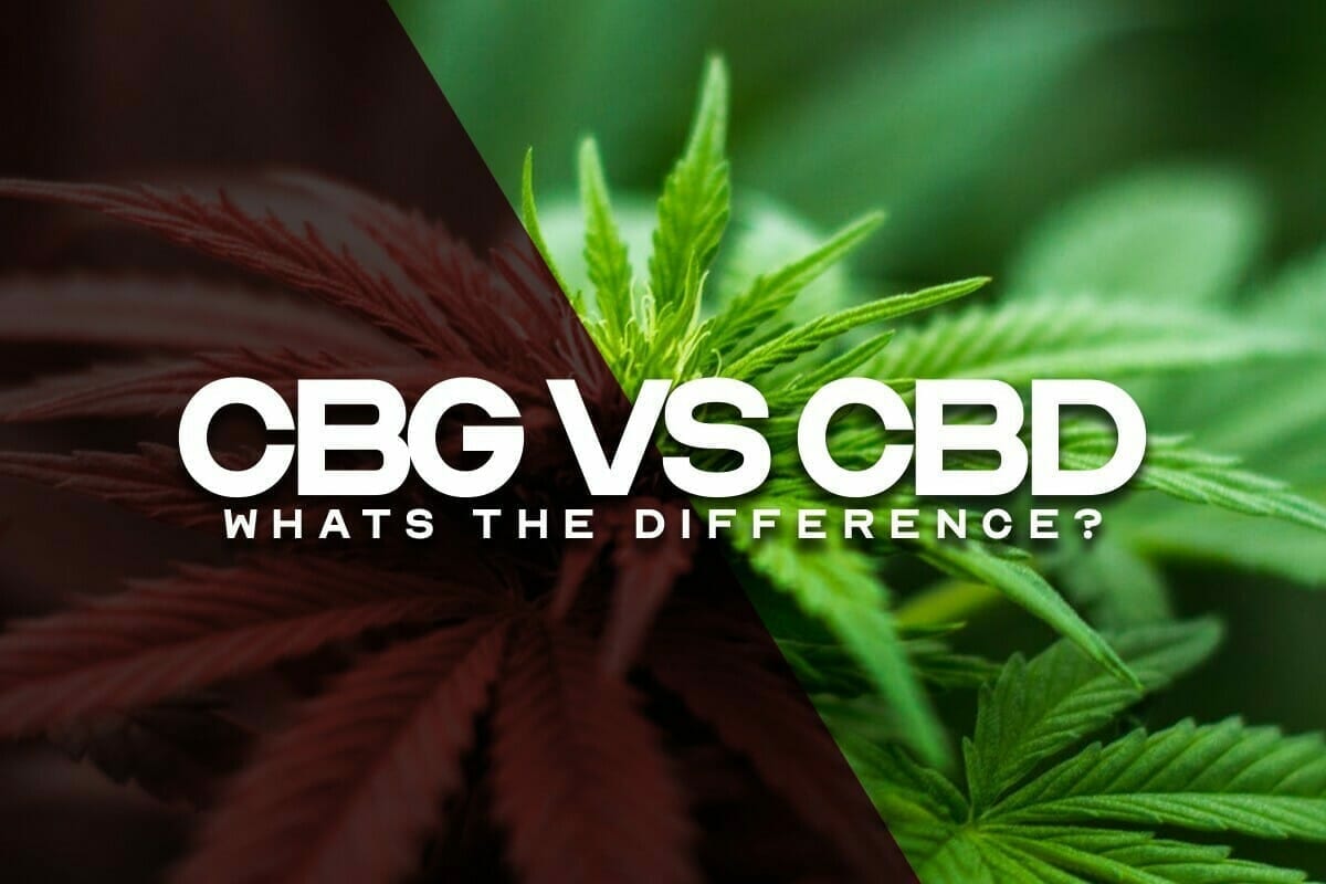 CBD vs CBG - Procana
