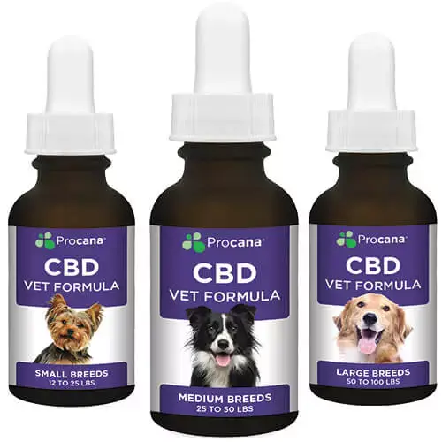 CBD for Dogs, Cats & Pets