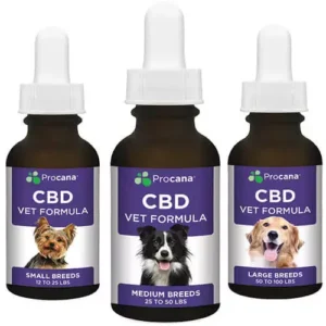 CBD for Dogs & Cats