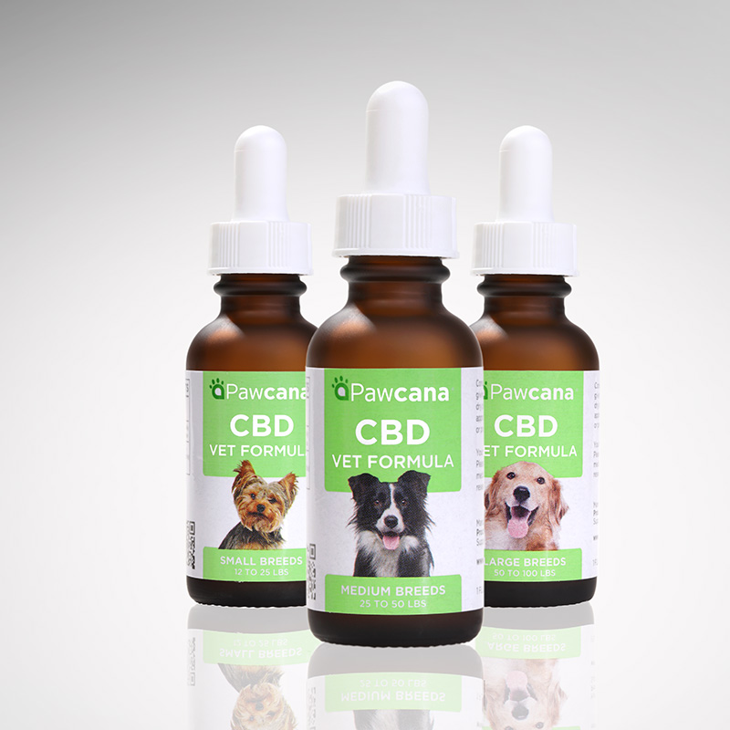 CBD FOR DOGS & CATS