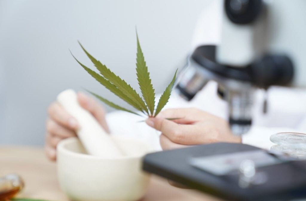 Broad-Spectrum Hemp Oil and Full Spectrum Hemp Oils