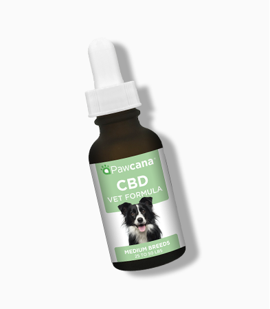 CBD For Dogs, Cats & Pets