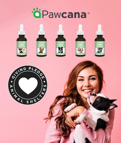 CBD for Dogs, Cats & Pets