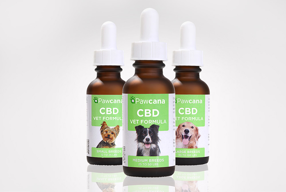 Best CBD for Dogs in 2024