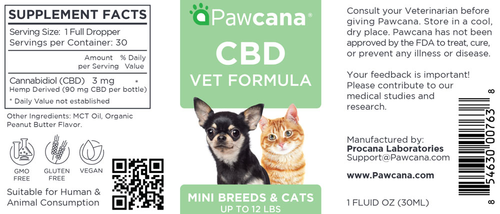 CBD for Cats and Small Dogs