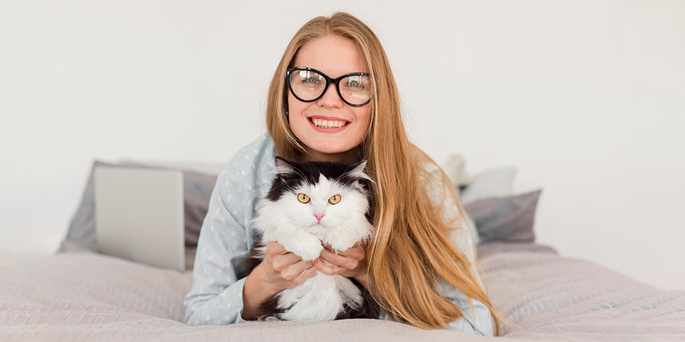 Health Benefits of CBD For Cats