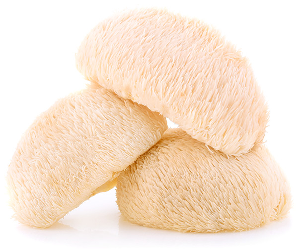 Codyceps Mushroom Capsules