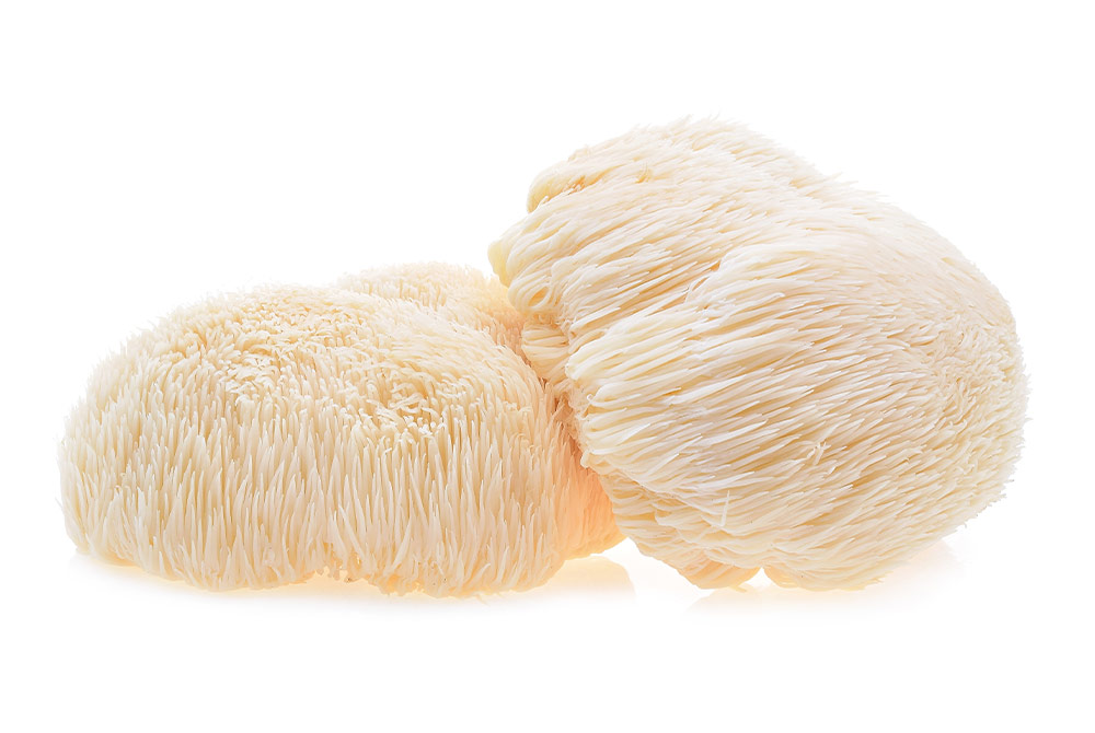 Why Lion’s Mane Supplements Are a Must for Cognitive Health
