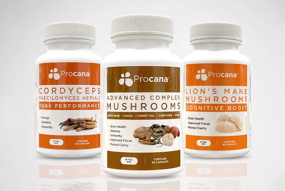 Mushroom Pills: Your Guide to Holistic Health